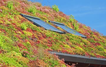 Haroldston West living roof systems