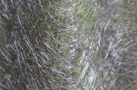 Haroldston West fibreglass roof work